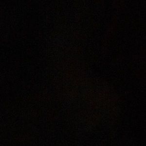 Meet your Posher, Kira